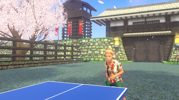 VR Ping Pong Paradise recommended requirements