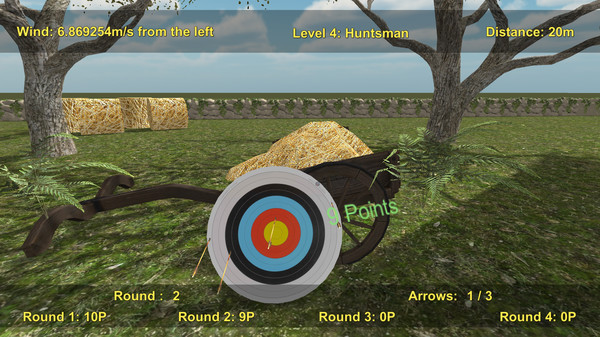 Precision Archery: Competitive