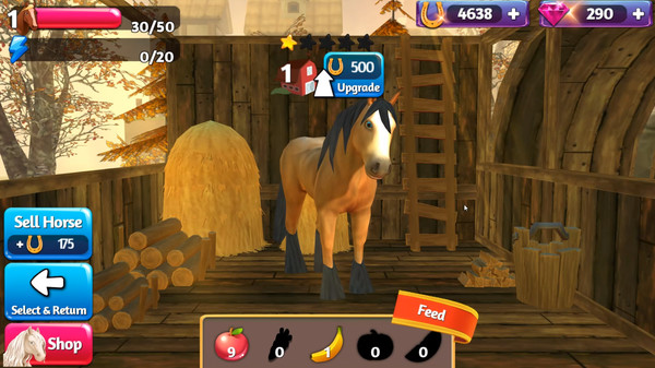 Horse Paradise - My Dream Ranch minimum requirements