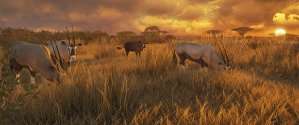 The Hunter Call Of The Wild Download Ita The Hunter Call Of The Wild Download Ita