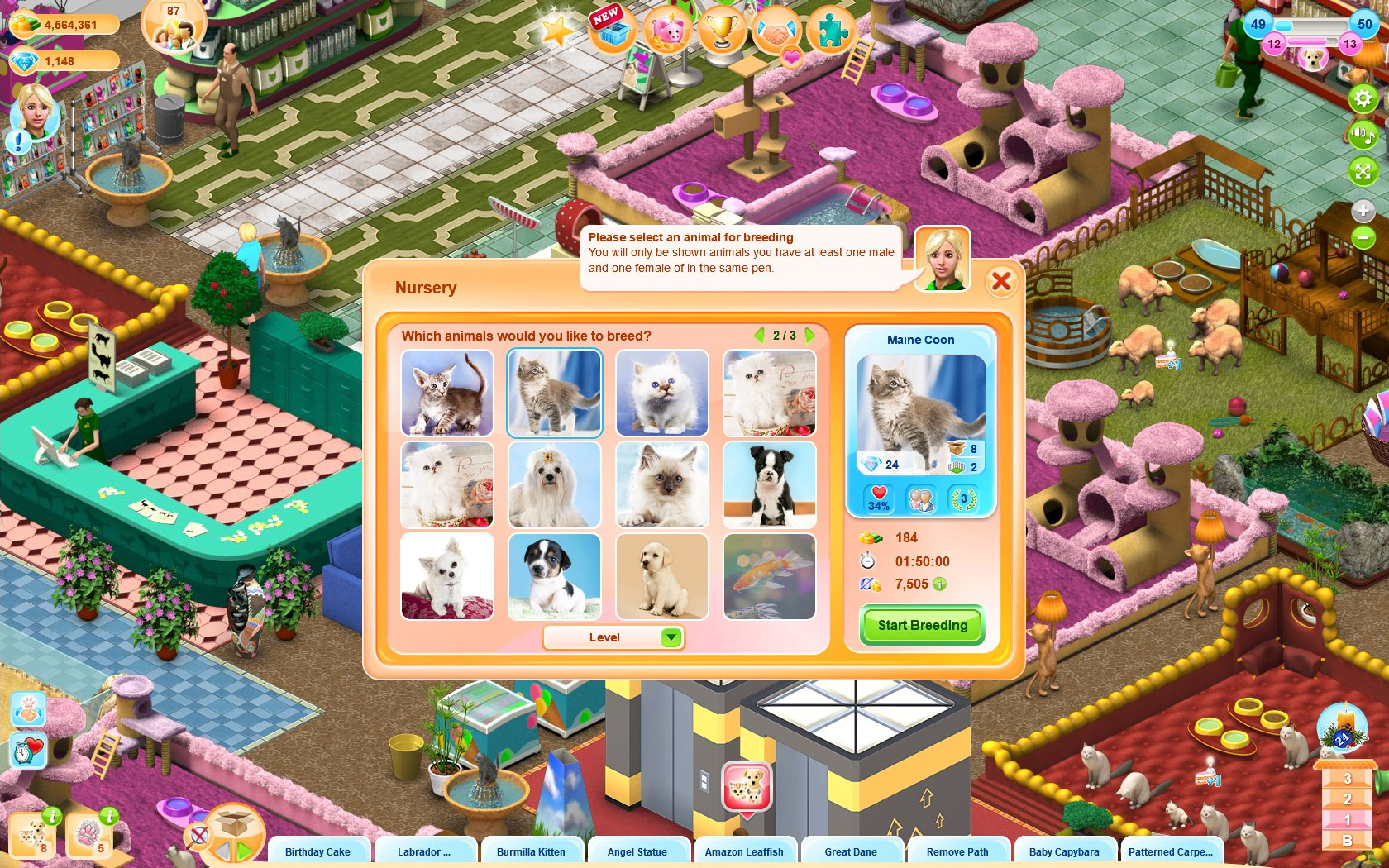 pet shop game