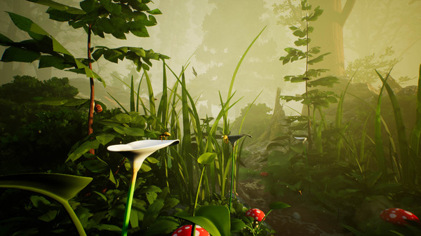 SMALLANDfor windows and Linux 1