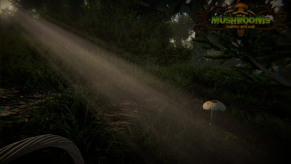 Mushrooms: Forest Walker PC requirements