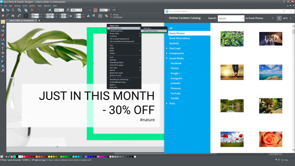 Photo & Graphic Designer 15 Steam Editionfor windows and Linux 1