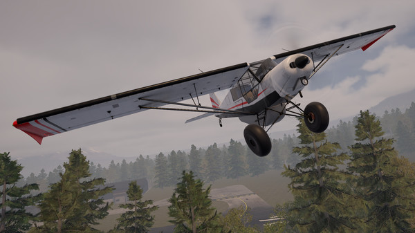 Deadstick - Bush Flight Simulator image