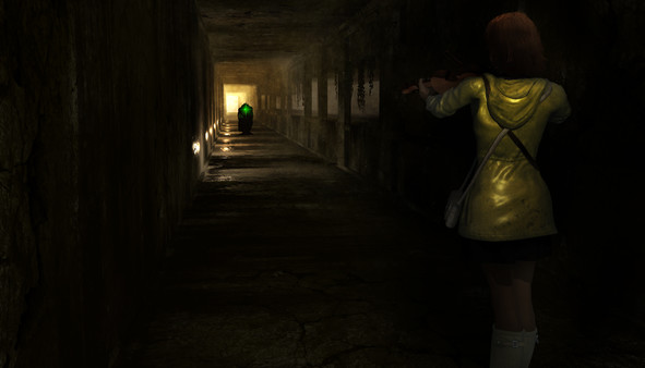 Distortionsfor windows and Linux 1