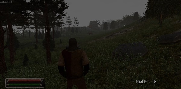 Viking Age: Odin's Warrior game for Linux 1