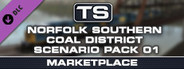 TS Marketplace: Norfolk Southern Coal District Scenario Pack 01 Add-On