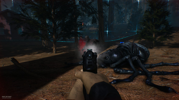 Fight or Flight screenshot