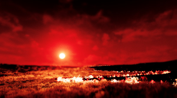 Lingfor windows and Linux 1