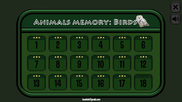 Animals Memory: Birds recommended requirements