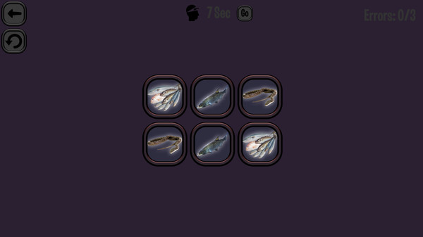 Animals Memory: Underwater Kingdom game for windows Pc 1