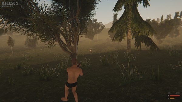 Valley of the foxes game for windows Pc 1