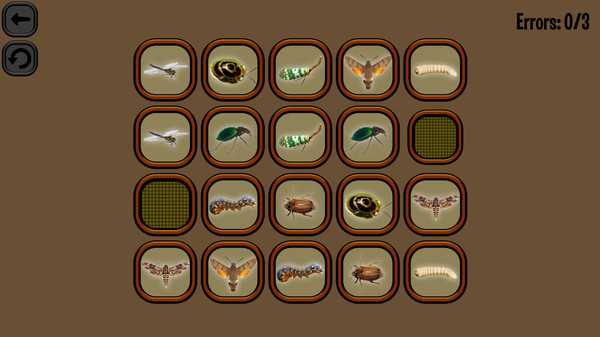 Animals Memory: Insect game for Linux 1