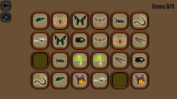 Animals Memory: Insect game for windows Pc 1