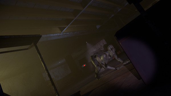 Empty Town for linux