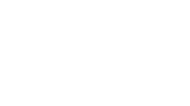 Simulation Logo