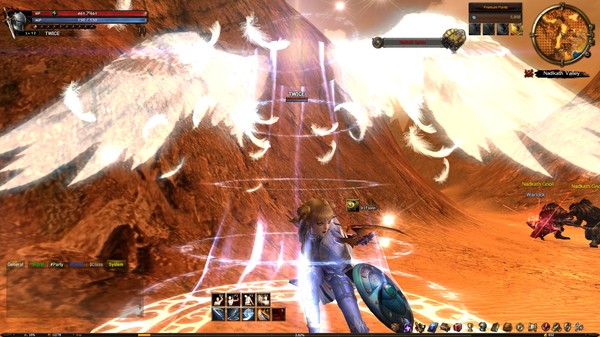 DK Onlinefor windows and Linux 1