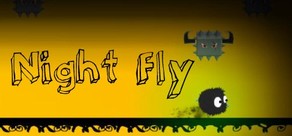 Night Fly cover art