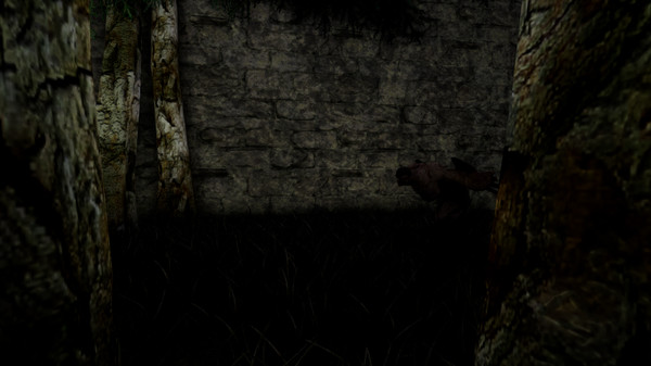 AIDEN game for Linux 1