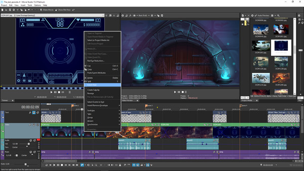 VEGAS Movie Studio 15 Platinum Steam Editionfor windows and Linux 1