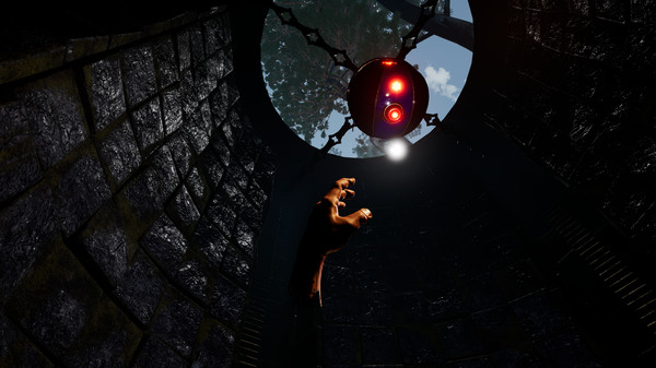 Frol Blok game for Linux 1