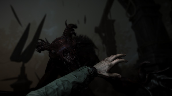 Reborn game for Linux 1