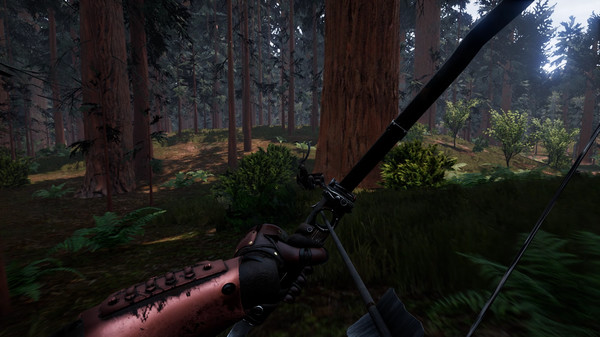 DARCO - Reign of Elements game for Linux 1