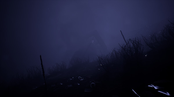 R.A.I.Dfor windows and Linux 1