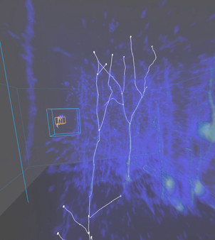 Virtual Reality Neuron Tracer minimum requirements