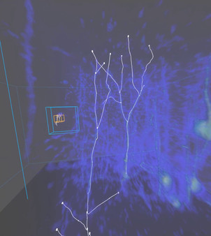 Скриншот из Virtual Reality Neuron Tracer