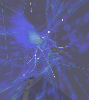Virtual Reality Neuron Tracer