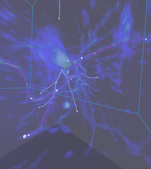 Скриншот из Virtual Reality Neuron Tracer