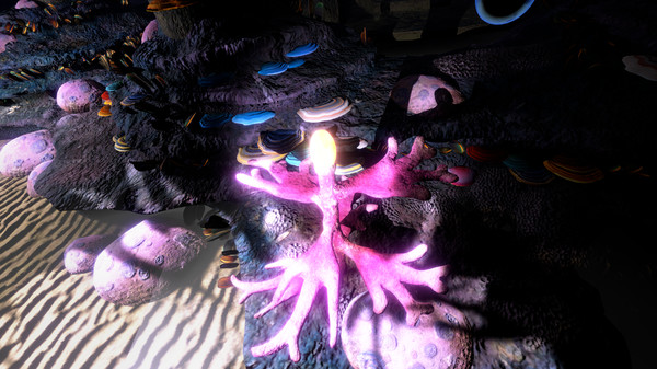 Essence of Illumination: The Beginningfor windows and Linux 1