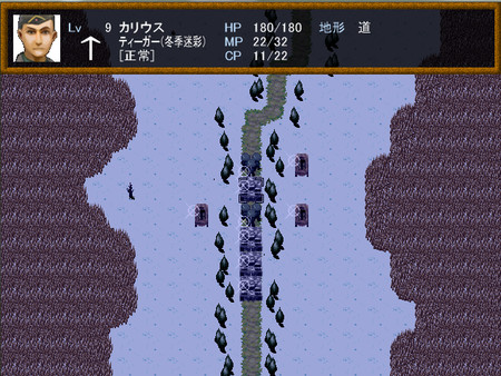 WWⅡ英雄列伝 泥の中の虎　オットー・カリウスfor windows and Linux 1