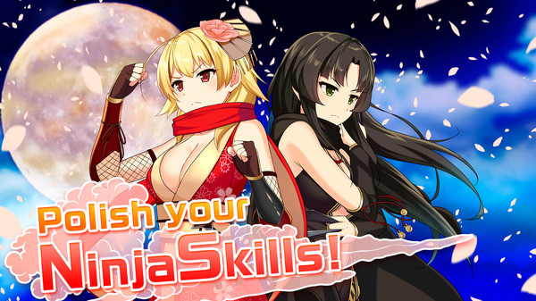 Moe! Ninja Girls requirements