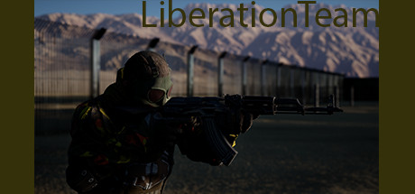 LiberationTeam cover art
