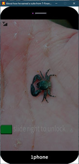 Скриншот из About how he earned a suite from T-Financial Platform in four months