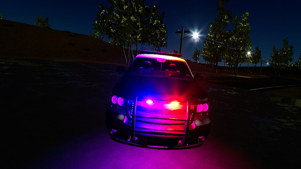 Police Enforcement VR : 1-King-27