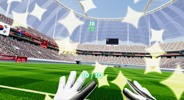 VR Soccer Training recommended requirements