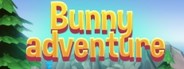 Bunny adventure