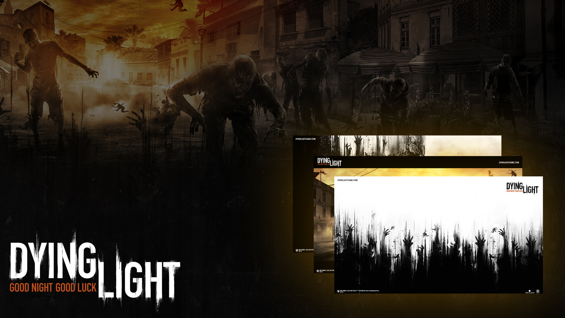 dying light steam not initialized
