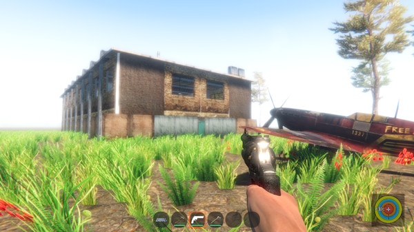 Inaccessible world for linux