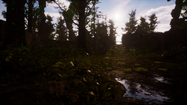 Hollow Steps for linux