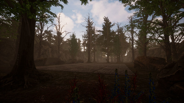 Hollow Stepsfor windows and Linux 1