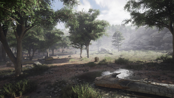 Diastone: Memories for linux