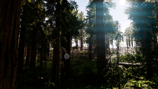 Diastone: Memories game for Linux 1