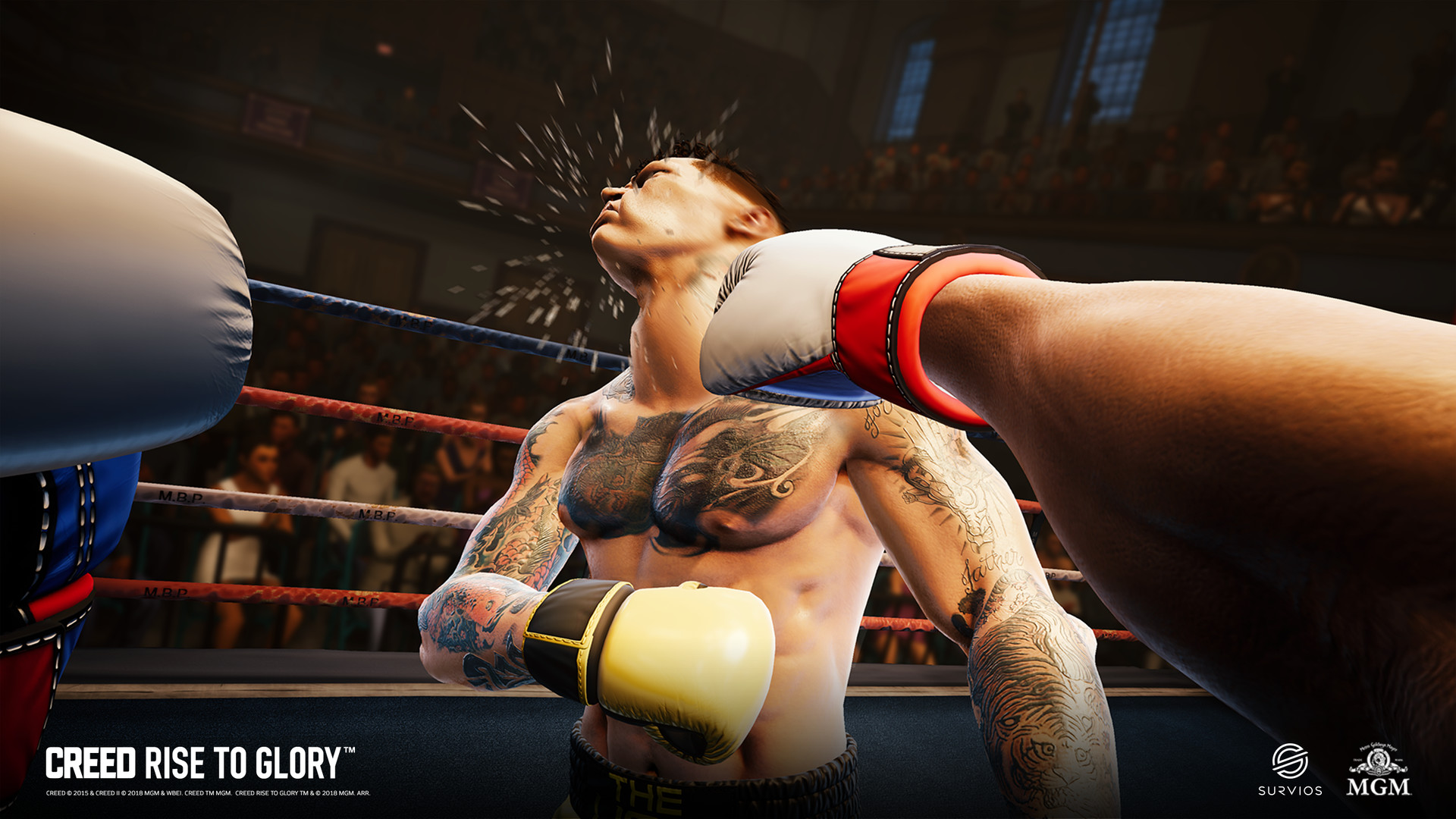 Rise to glory vr. Creed VR ps4. Creed Rise to Glory. Creed Rise to Glory VR. Бокс Крид VR.