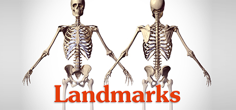 Figure Drawing Fundamentals: Landmarks of the Human Body cover art