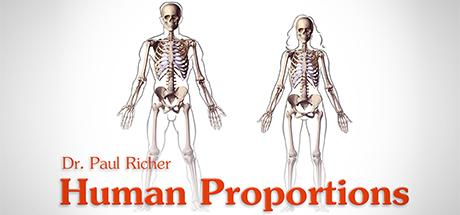 Figure Drawing Fundamentals: Human Proportions – Average Figure cover art
